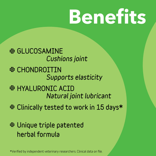 Canine Connectin | Clinically Proven Hip & Joint Supplement, Soft Chews