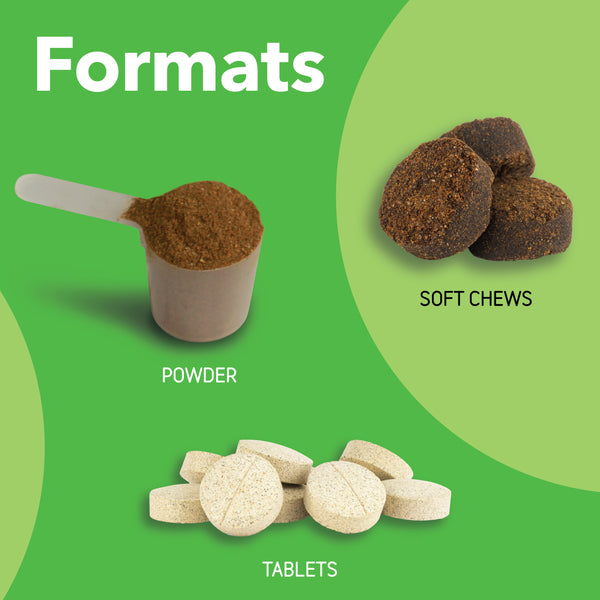 Canine Connectin | Clinically Proven Hip & Joint Supplement, Tablets